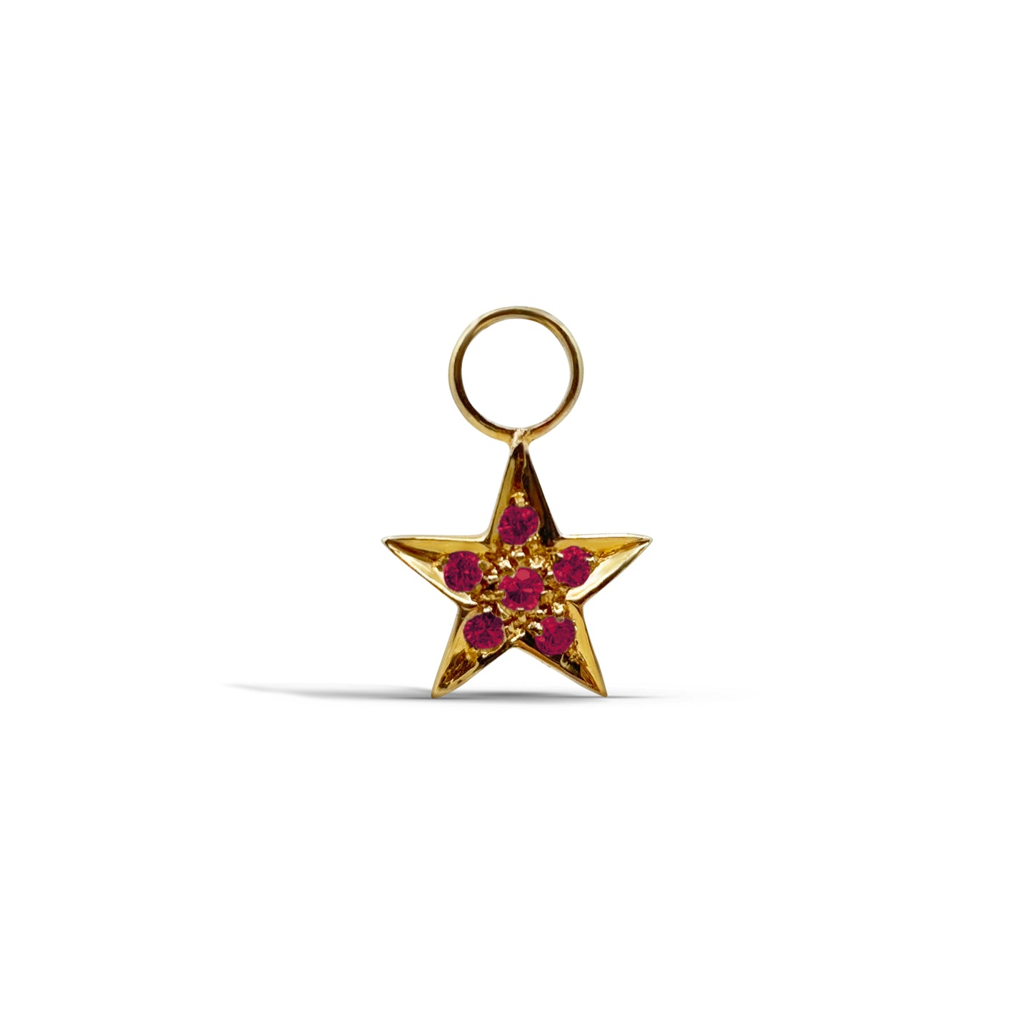 Star Earring Jacket